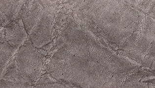 エレファント(象革)