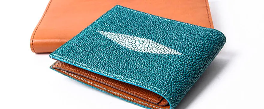 宝石を散りばめられたような海の恵み
